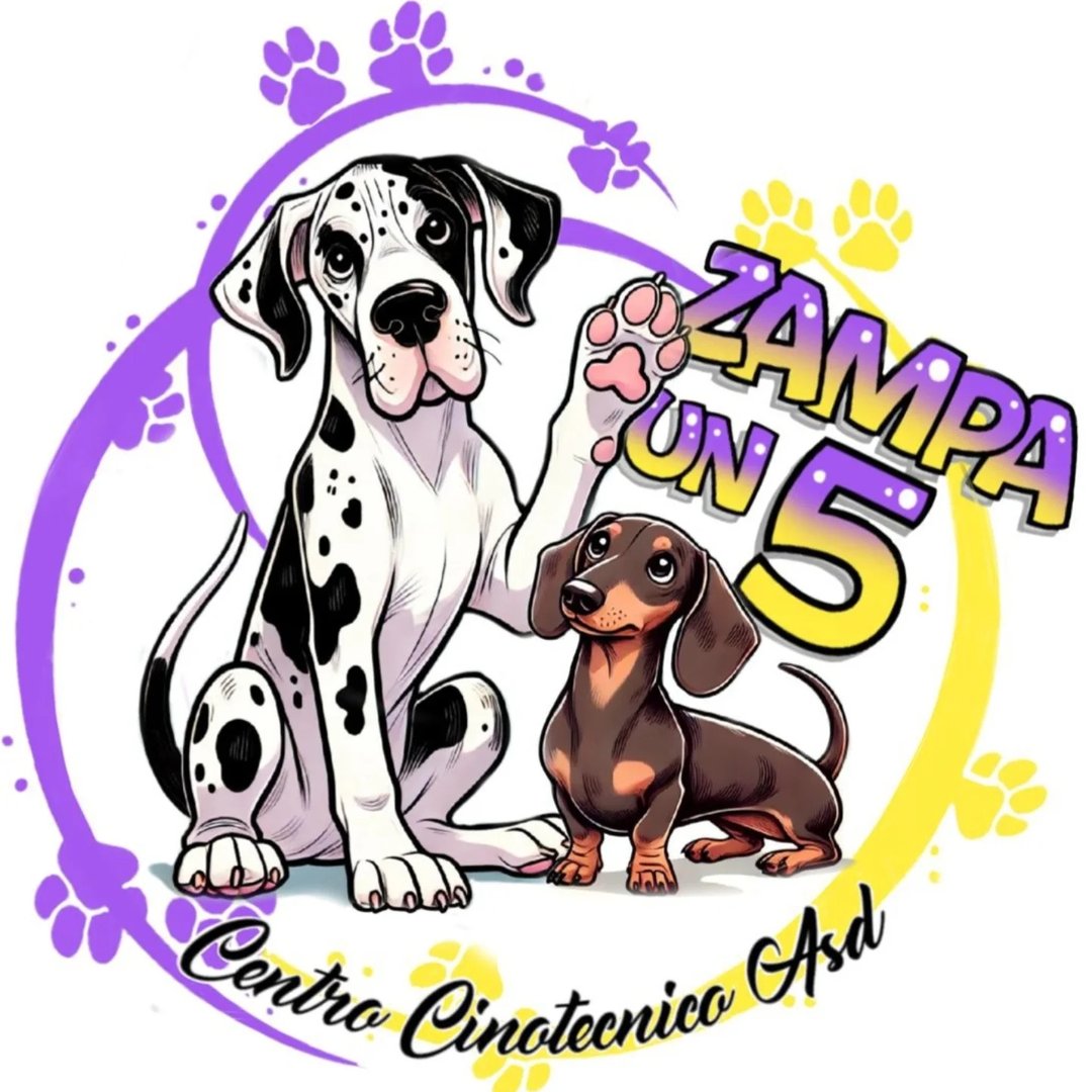 Zampa un 5